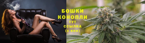 индика Волоколамск